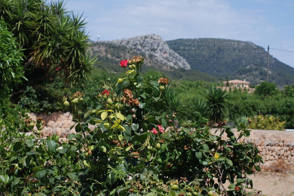 لوكماجور Finca Can Paulino (Adults Only) الغرفة الصورة