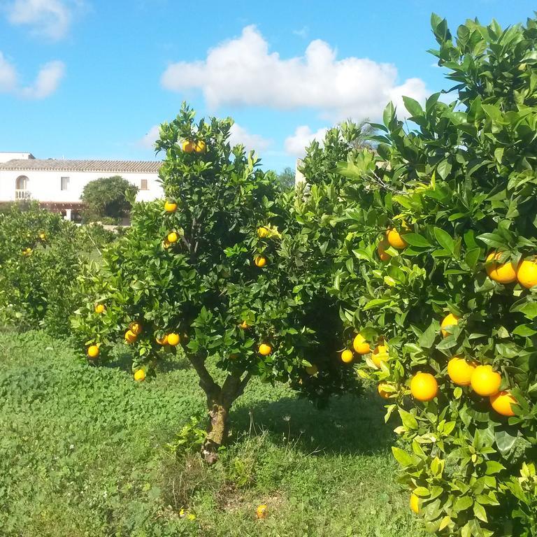لوكماجور Finca Can Paulino (Adults Only) الغرفة الصورة