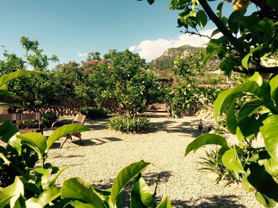 لوكماجور Finca Can Paulino (Adults Only) الغرفة الصورة