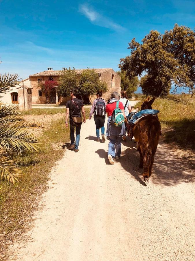 لوكماجور Finca Can Paulino (Adults Only) المظهر الخارجي الصورة